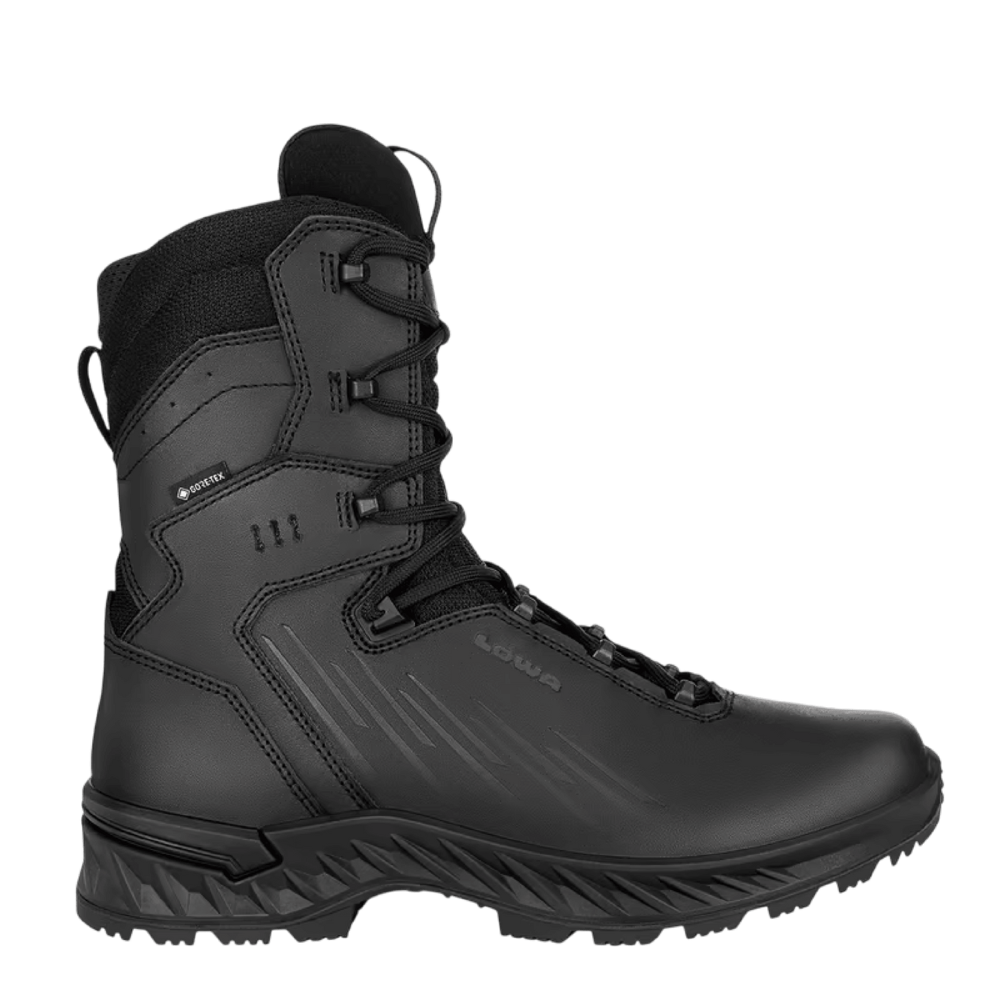 BOTA LOWA ZICON GTX HI
